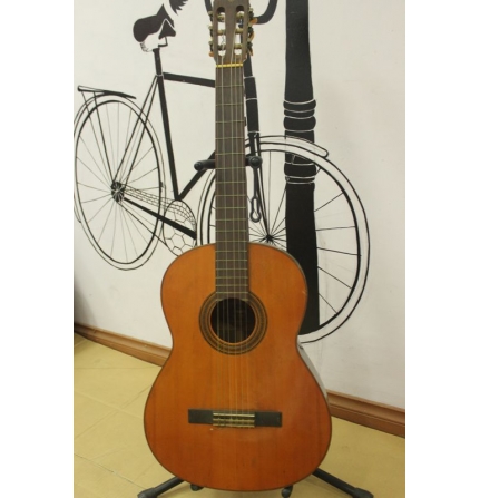 Đàn guitar Yamaha G-70D